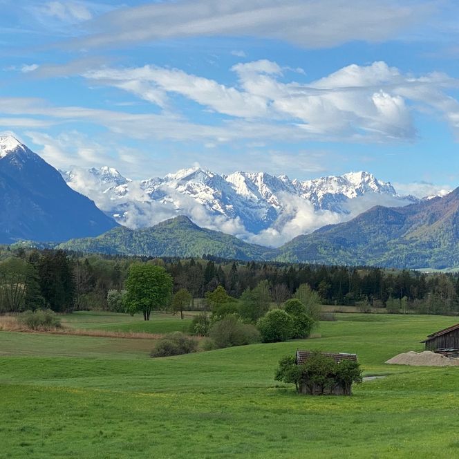 Grüne Wiesen im Vordergrund mit weitem Blick auf ein beeindruckendes Bergpanorama.