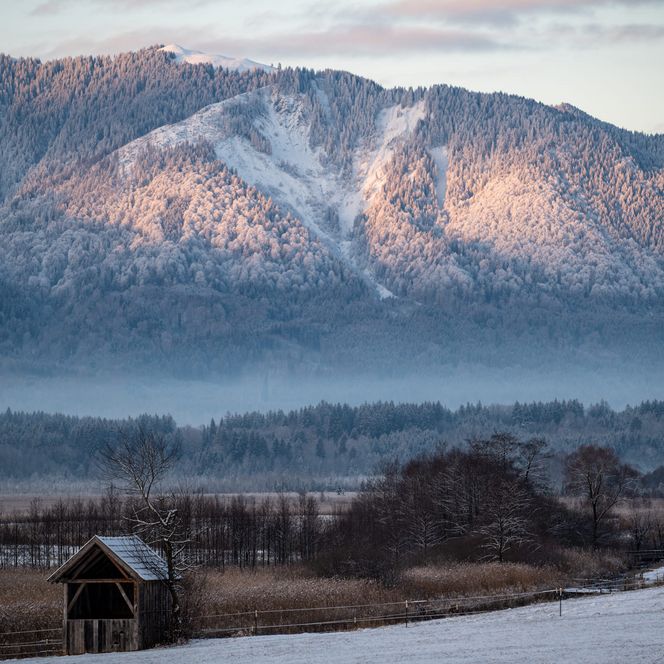 Morgenstimmung im Murnauer Moos im Winter.