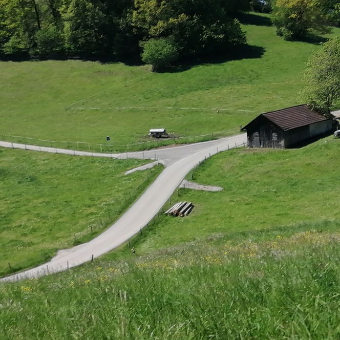 Eine Landstraße zwischen grünen Feldern.