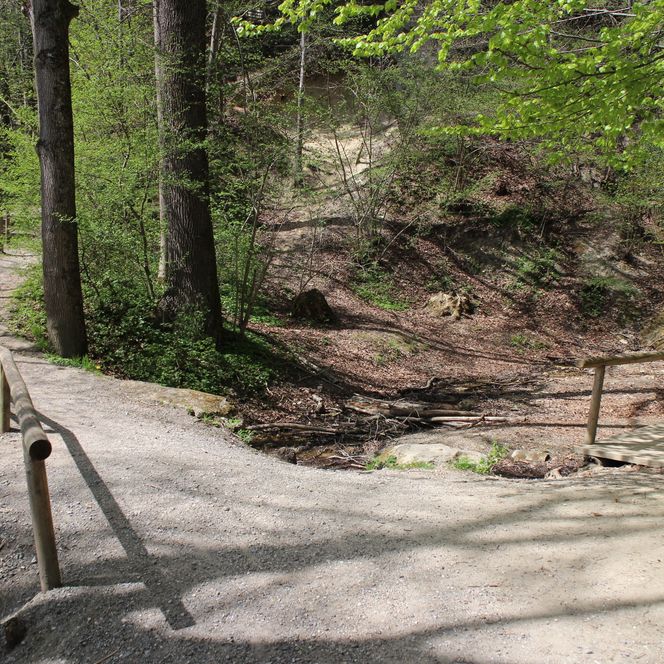 Kleine Waldschlucht auf dem Drachenstich-Rundweg.