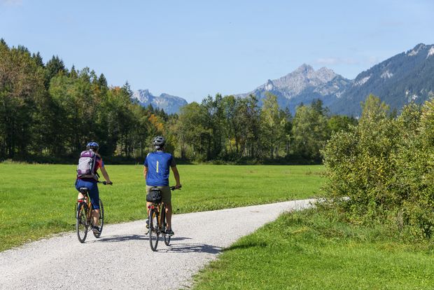 Zwei Radfahrer fahren vom Bild weg auf einem Radweg zwischen grünen Wiesen und Büschen.