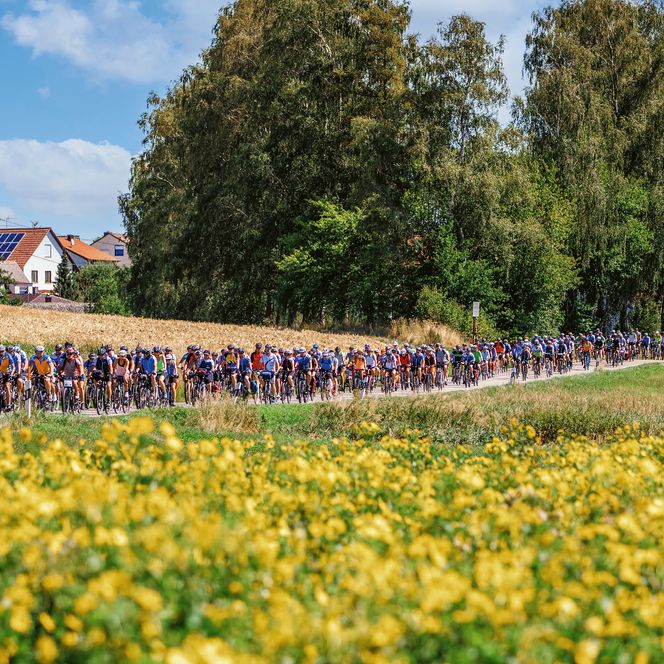 Teilnehmer der BR-Radltour fahren auf einer Straße, neben einem gelb blühenden Feld.