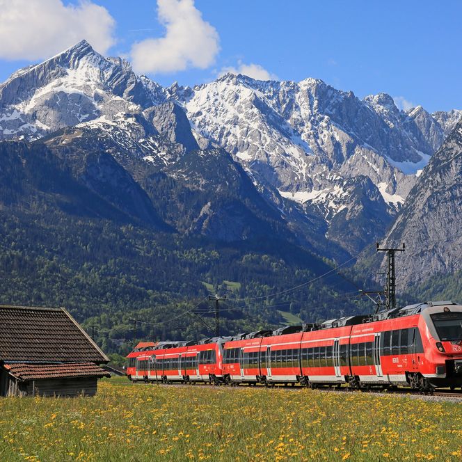 DB Werdenfelsbahn in der Bildmitte, im Vordergrund ein bunte Blumenwiese, im Hintergrund die Alspitze 