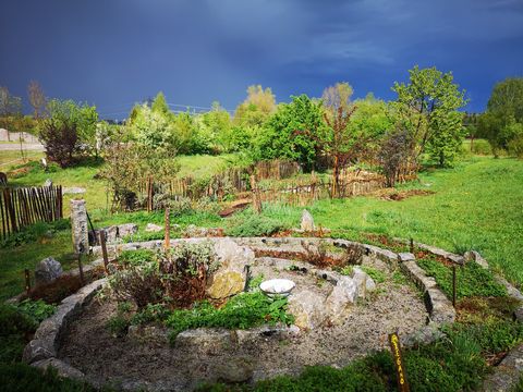Grüner Naturerlebnisgarten mit verschiedenen Pflanzen.