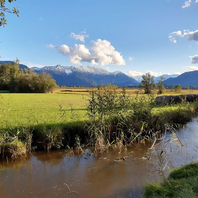 Flussufer der Ramsach, im Hintergrund das Murnauer Moos.