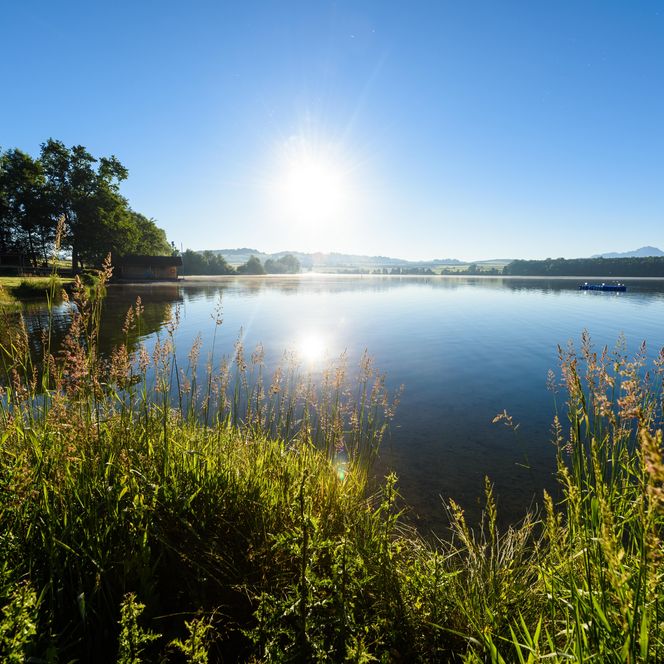 Ruhiger Staffelsee bei Sonnenschein mit Gräsern am Ufer.