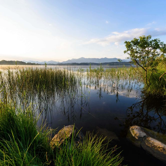 Abenddämmerung am Staffelsee.