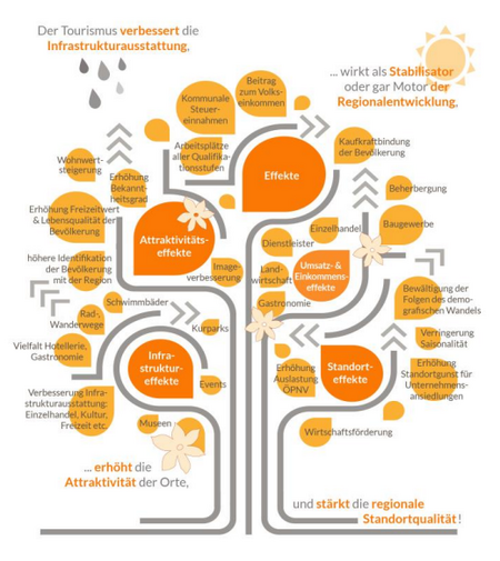 Stilisierter Baum der dwif Studie 2024