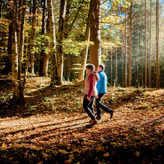 Ein Paar wandert durch einen herbstlichen Wald.