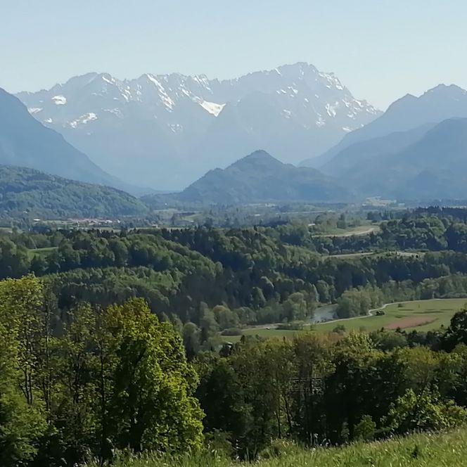 Blick über Wiesen und Wälder in Richtung Berge.