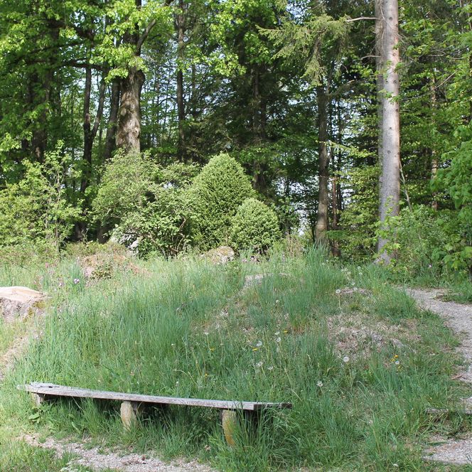 Sitzbank auf dem Königsweg.