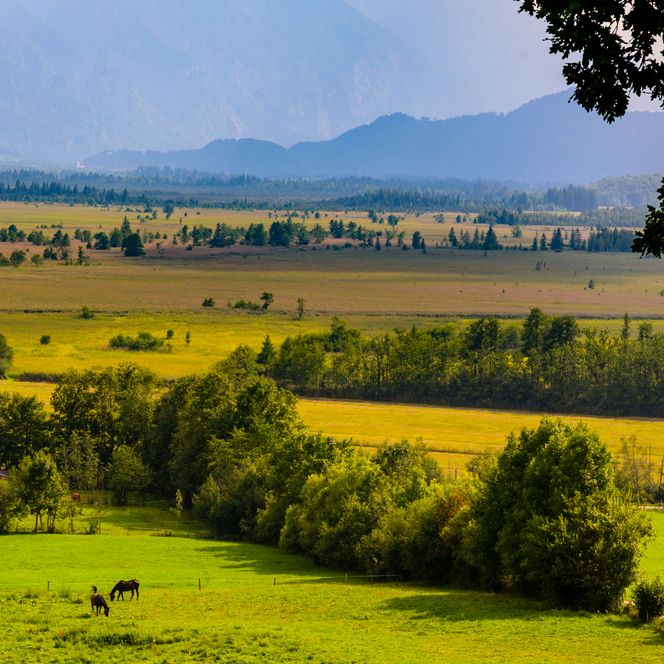 Herbstlicher Ausblick über das Murnauer Moos.