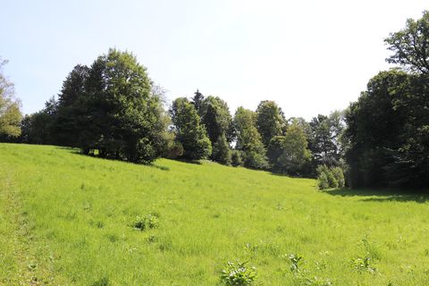 Eine Wiese mit Bäumen im Molopark.