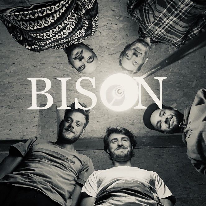 Bison - Rhythm Folk & Southern Roots
