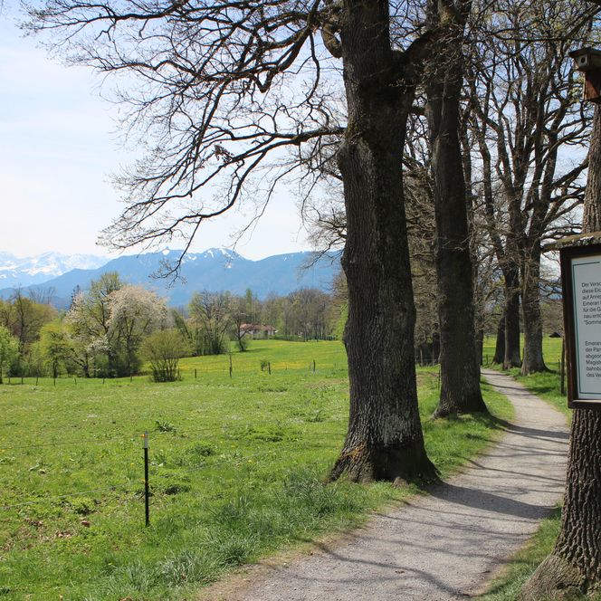 Beginn der Kottmüllerallee mit Informationstafel.