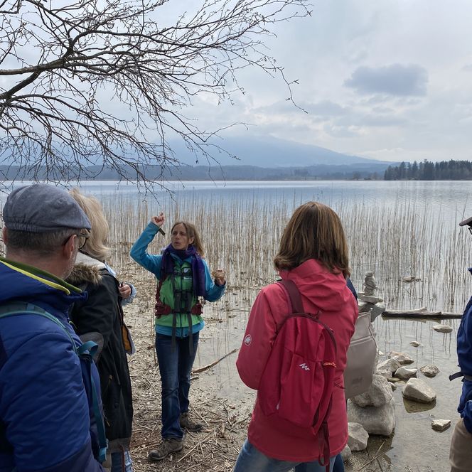 Die Gästeführerin erklärt den Teilnehmern Informationen zum Staffelsee.
